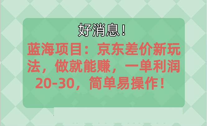 越早知道越能赚到钱的蓝海项目：京东大平台操作，一单利润20-30，简单…-小白资源网