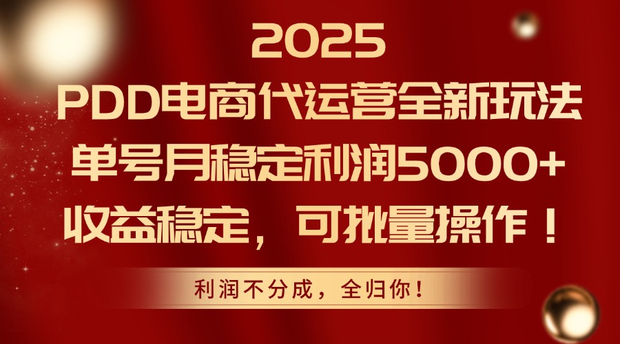 2025 PDD电商代运营全新玩法，单号月稳定利润5000+，收益稳定，可批量操作！-小白资源网