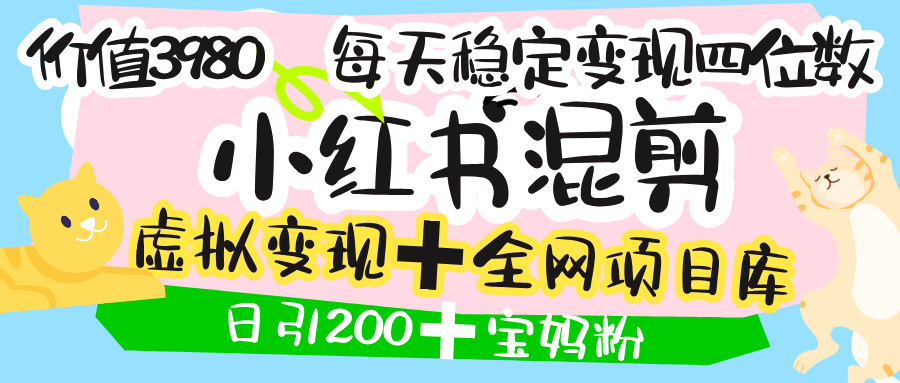 价值3980的小红书混剪, 虚拟变现 +全网项目库 , 日引200+宝妈创业粉,每天稳定四位数变现-小白资源网