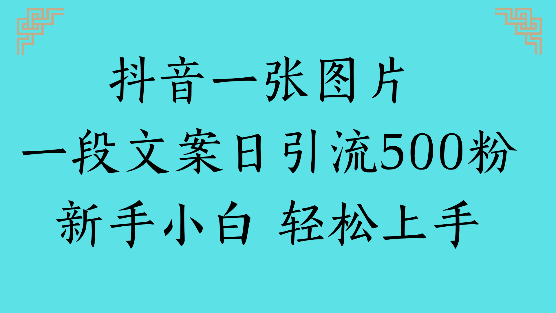 抖音一张图片 一段文案日引流500粉新手小白 轻松上手-小白资源网