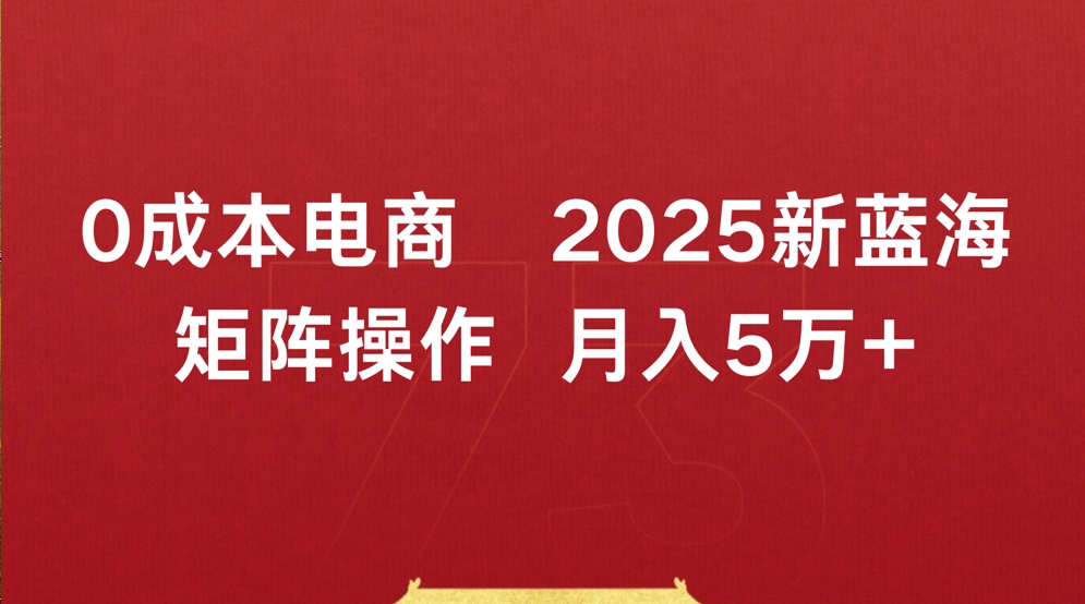 0成本电商2025新蓝海矩阵操作 月入5万+-小白资源网