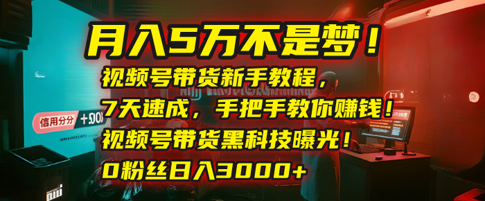 月入5万不是梦！视频号带货新手教程，7天速成，手把手教你赚钱！视频号带货黑科技曝光！0粉丝日入3000+-小白资源网