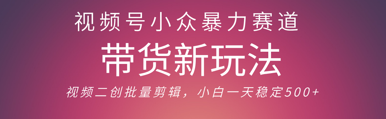 视频号小众暴力赛道,最新带货玩法 小白也能轻松日入500+ 保姆及教程-小白资源网
