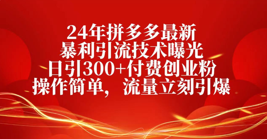 25年拼多多最新暴利引流技术曝光、日引300+付费创业粉操作简单,流量立刻引爆-小白资源网