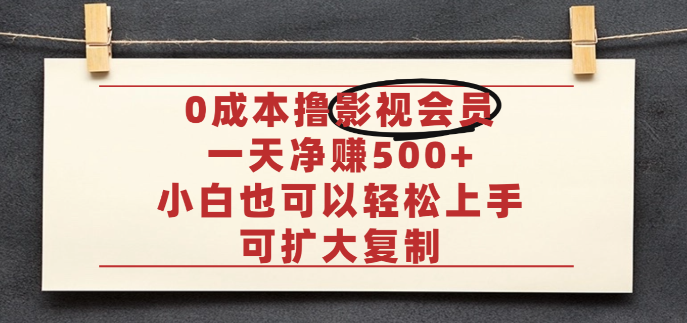 亲测，0成本可批量操作，靠卖影视会员实测月入30000+-小白资源网