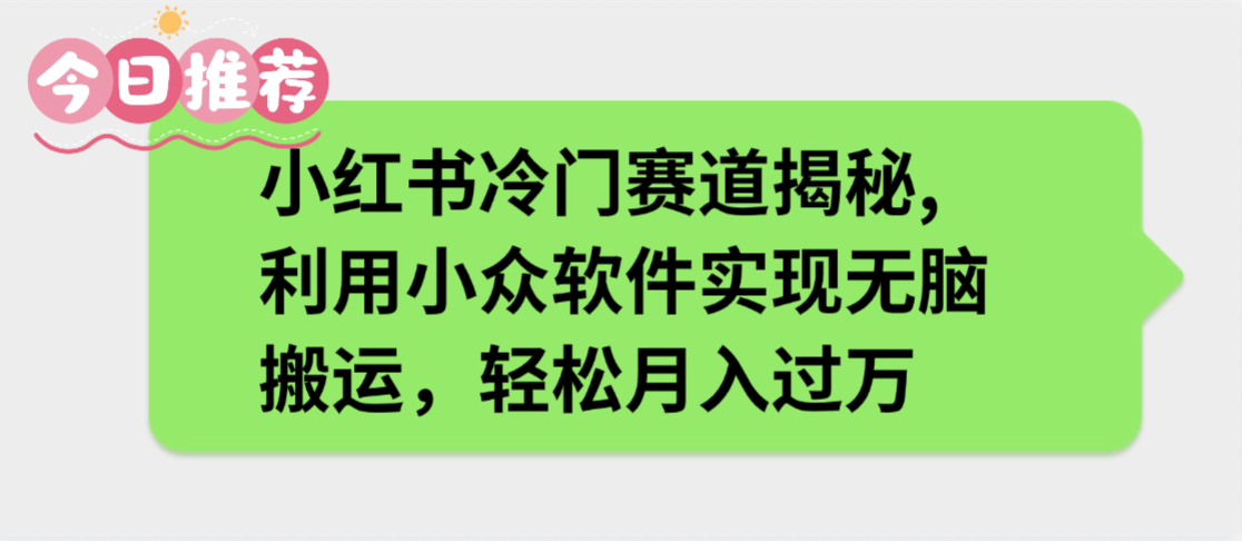 小红书冷门赛道揭秘,利用小众软件实现无脑搬运，轻松月入过万-小白资源网